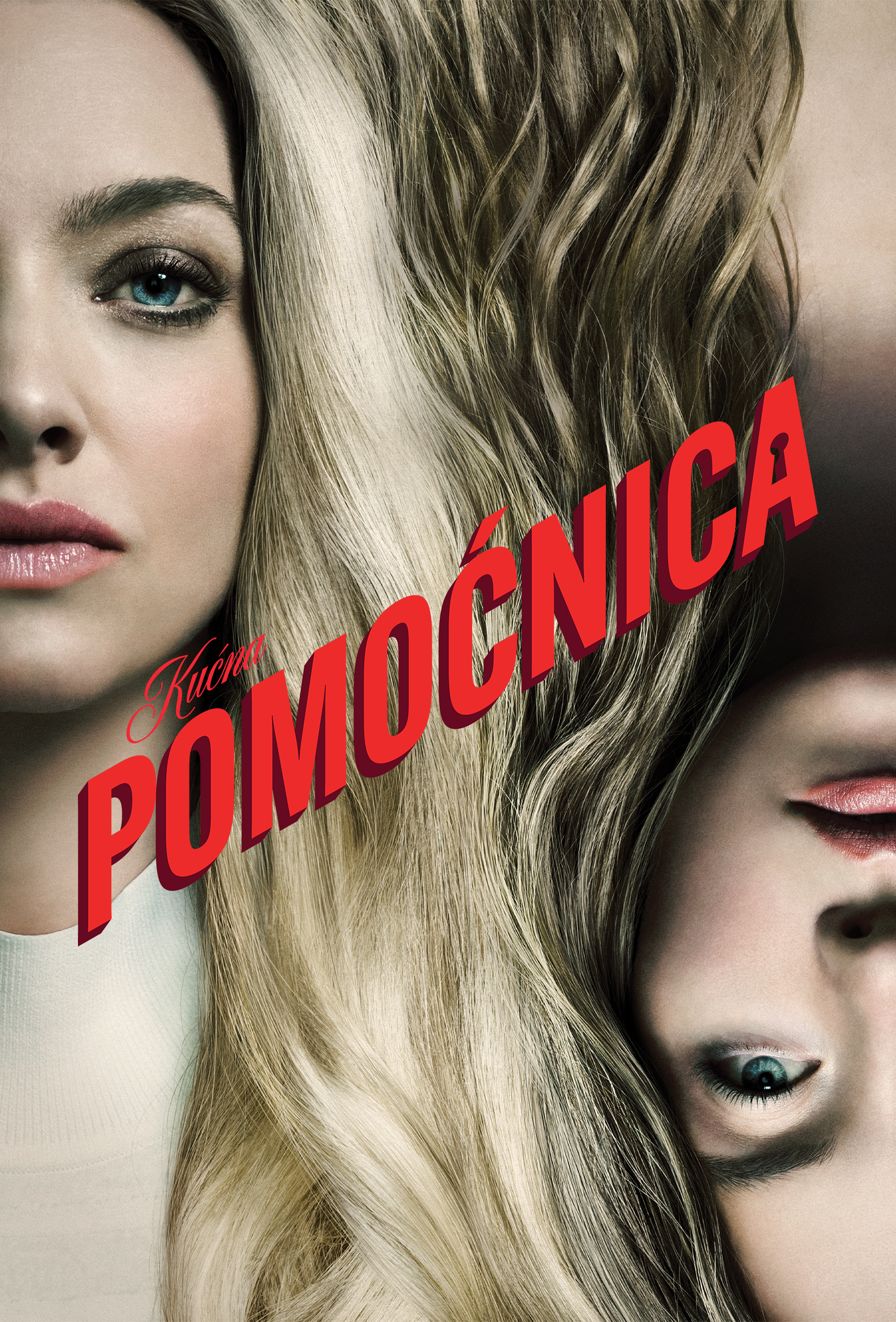 Kućna pomoćnica