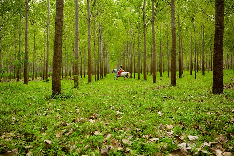 Sve što želim je sve